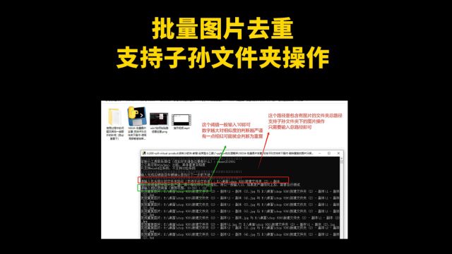 10034批量图片去重支持子孙文件夹下操作删除重复的图片只保留一个