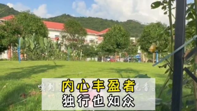 独自绽放孤芳自赏,就是最好的风光.#情感共鸣 #文笔 #共鸣