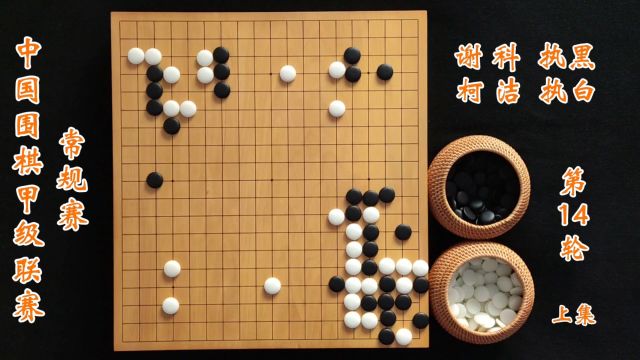 中国围棋甲级联赛第14轮柯洁vs谢科上集