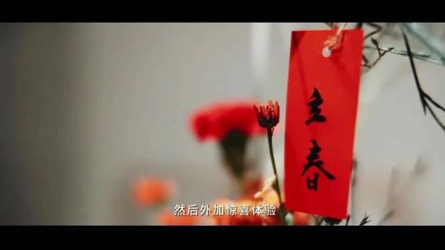 我们的节日—欢欢喜喜过大年 | 《二十四节气与〈淮南子〉》