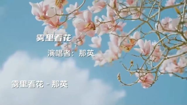 那英《雾里看花》水中望月,谁又能真的看清这世界