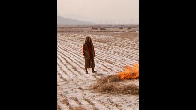 战争后的女人太惨了,限制级影片,看完毛骨悚然