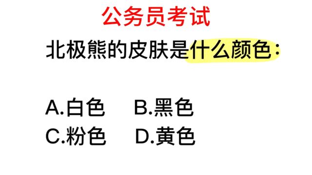 公务员常识,北极熊的皮肤是什么颜色的?很多人不知道