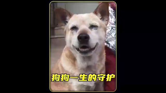 一定要看到最后 11