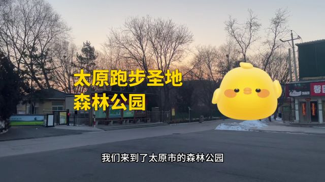 太原曾经跑步圣地——森林公园