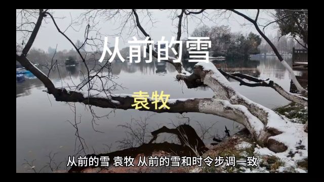 从前的雪 作者:袁牧