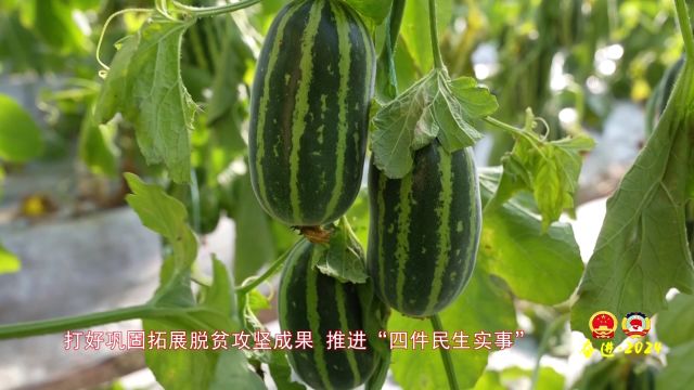 【两会人物访谈】南沟岔篇