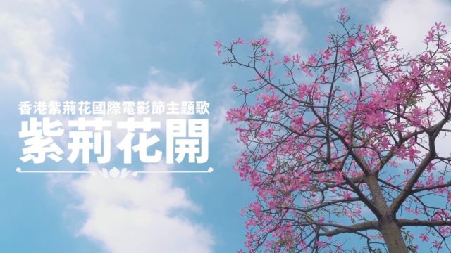 星光艺声文化全国KTV入库赵洪伟《紫荆花开》KTV版