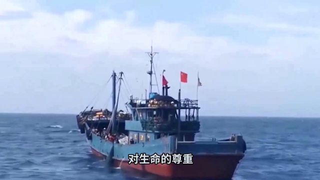 载12人山东籍渔船在东海沉没