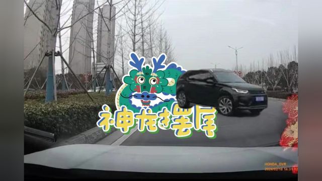 神龙摆尾视频