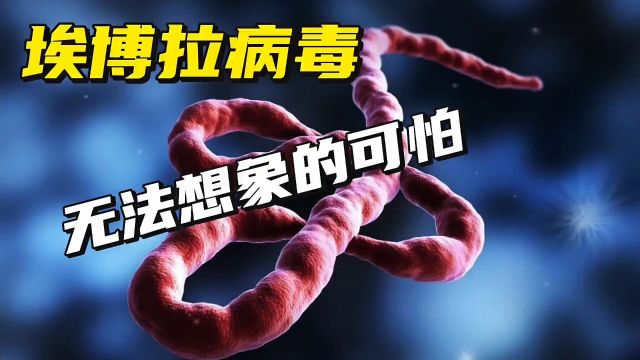 埃博拉病毒,你无法想象的可怕,比新冠病毒恐怖万倍#冷知识