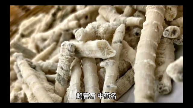 中药鹅管石