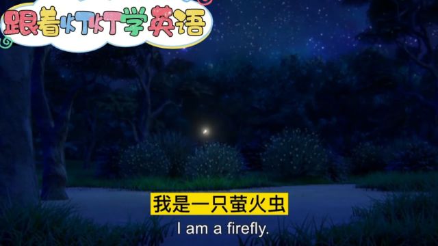 和firefly一起捉迷藏,看动画学英语啦!