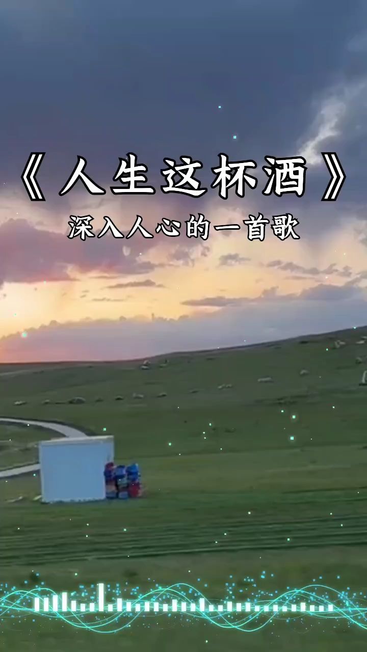 《人生这杯酒》