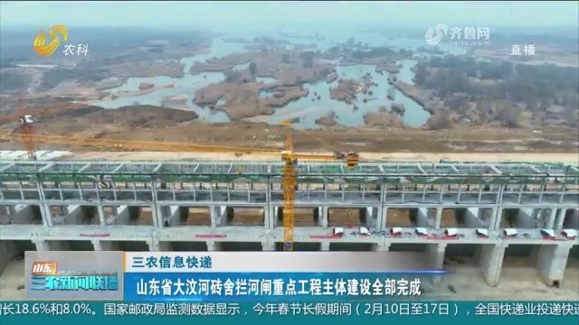 关注!山东省大汶河砖舍拦河闸重点工程主体建设全部完成