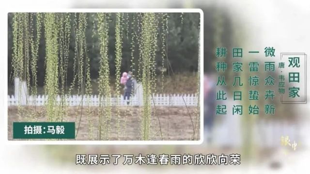 《银帆在线》2024年第三期《惊蛰》篇