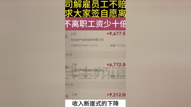 公司解雇员工不赔钱?要求大家签自愿离职,员工:不签工资少十倍#人事#拖欠工资#资讯#劳动法咨询#合同 3##1