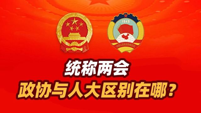 司马南:统称两会,政协与人大区别在哪?