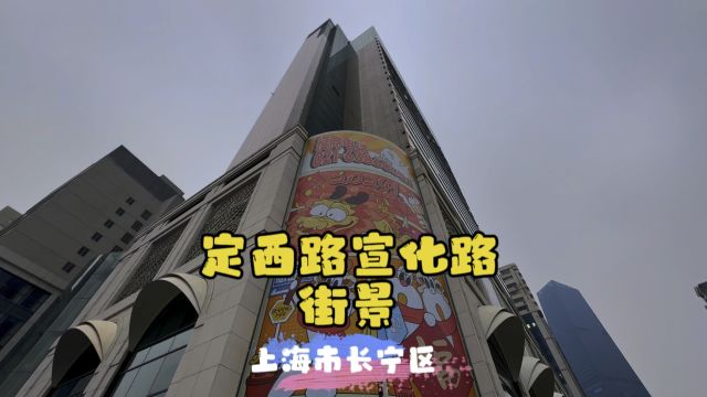 定西路宣化路街景~上海市长宁区