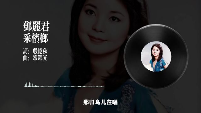 百首经典邓丽君采槟榔