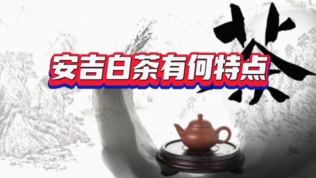 安吉白茶有何特点