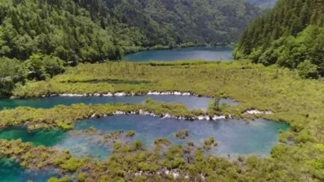 天才在左疯子在右永生(中)