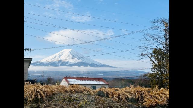 2024年2月日本旅行