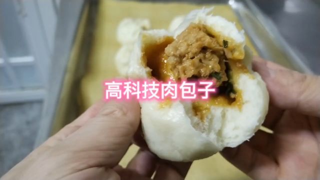 高科技肉包子,按平台要求优化一下重新发#传递正能量 #食品安全 #支持抖音传播正能量 #万万没想到