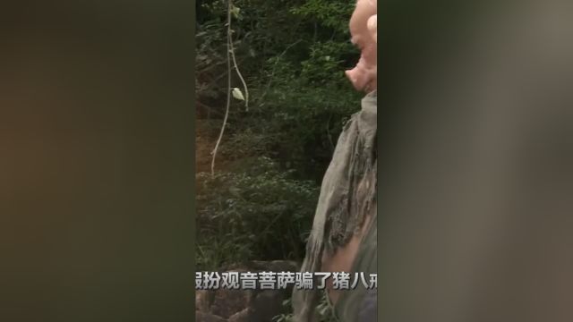 黄眉怪假设小雷音寺,如来为何不追究?你看这寺庙是谁给他的?