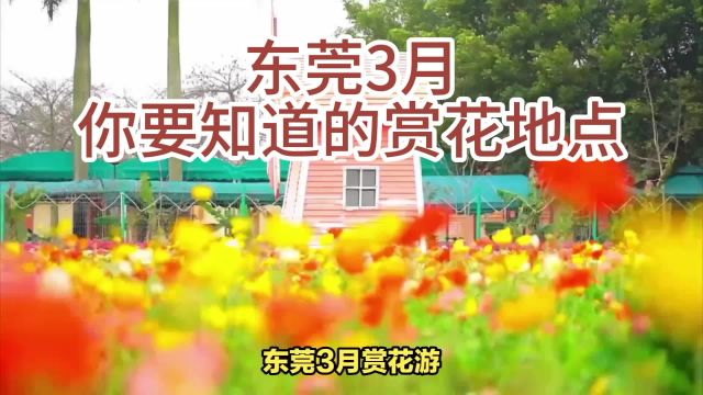 3月东莞你要知道的几个赏花地点