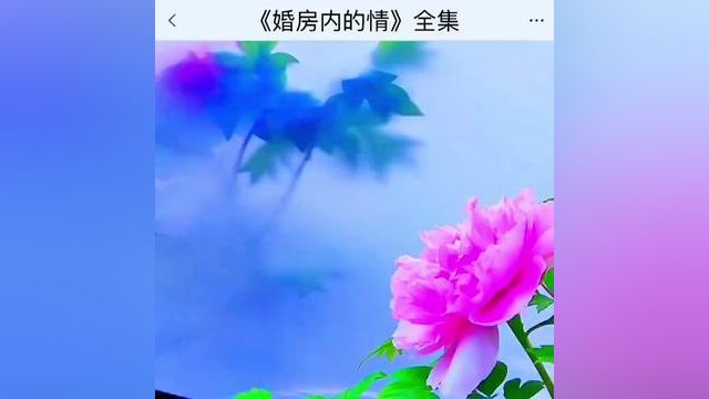 《婚房内的情》点击下方查看后续精彩内容