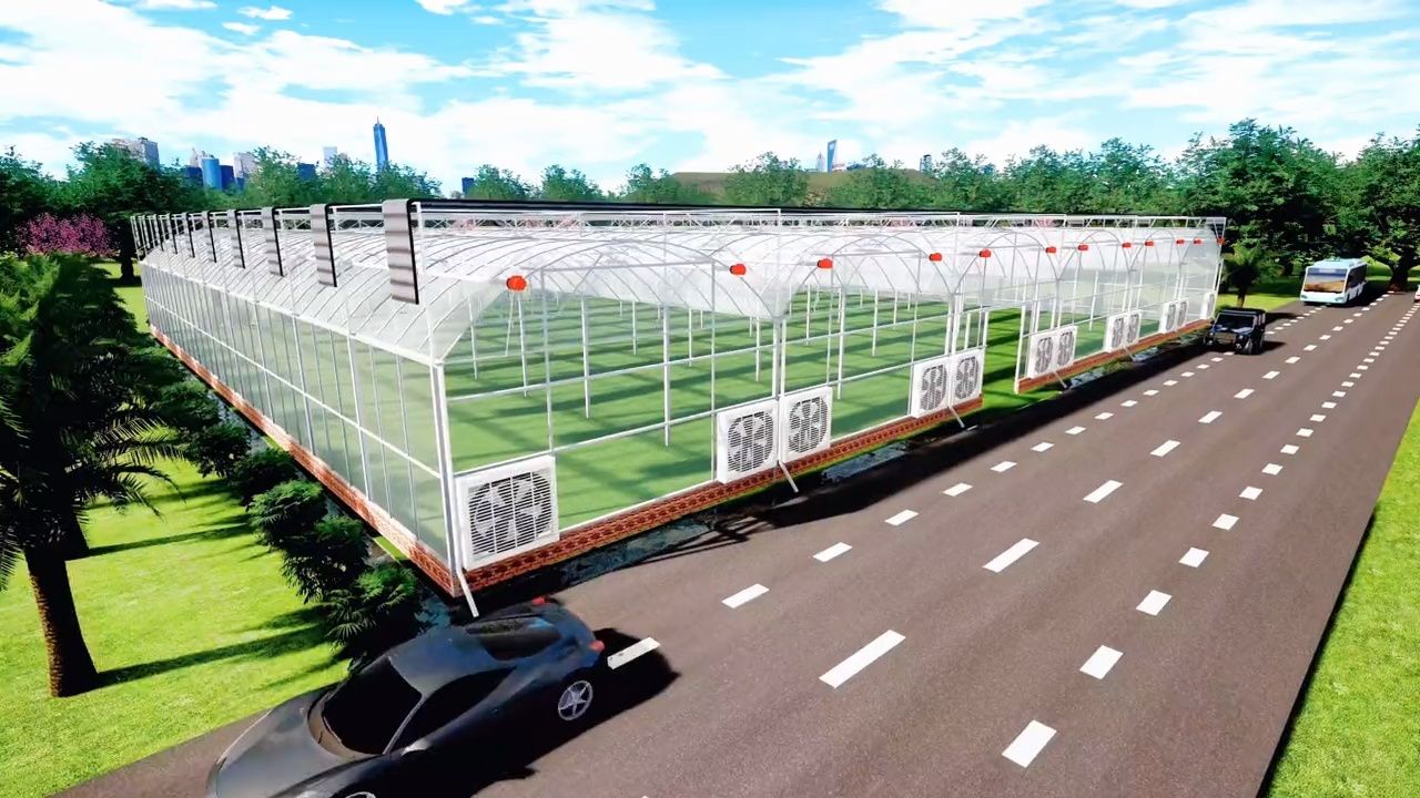 连栋大棚效果图展示