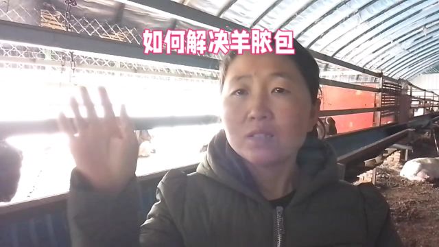 如何解决羊脓包