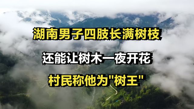 湖南男子四肢长满树枝,还能让树木一夜开花,村民称他为\