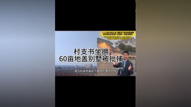 村支书坐拥60亩地盖别墅被批捕 官方通报:涉嫌非法转让土地使用权罪,已于2024年1月9日被刑事拘留,2月2日被批准逮捕社会百态 村干部反贪 土地 +上…...