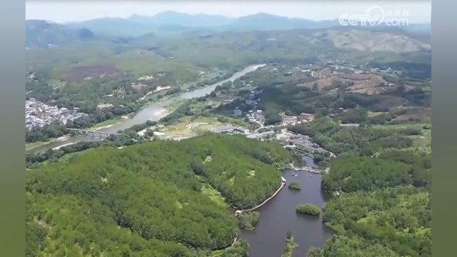 从春天出发ⷧ揥𛺮Š龙岩:因地制宜综合防治,山河披绿成效显著