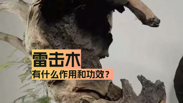 雷击木有什么作用和功效?别不信,也别全信