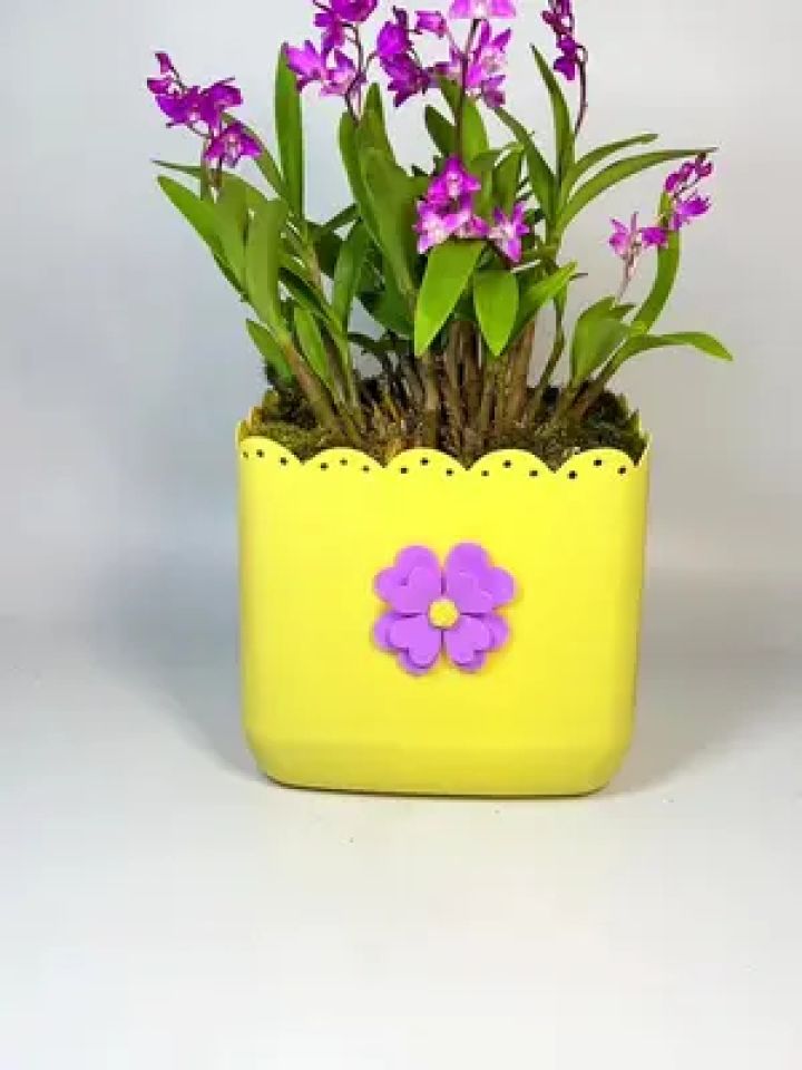 ϾƷͼƬ