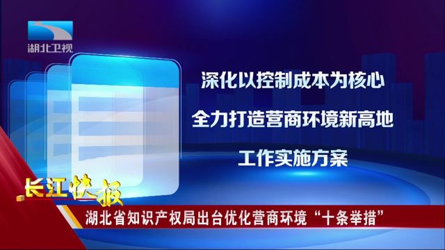 湖北省知识产权局出台优化营商环境“十条举措”