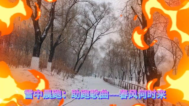 雪中晨跑:助跑歌曲春风何时来