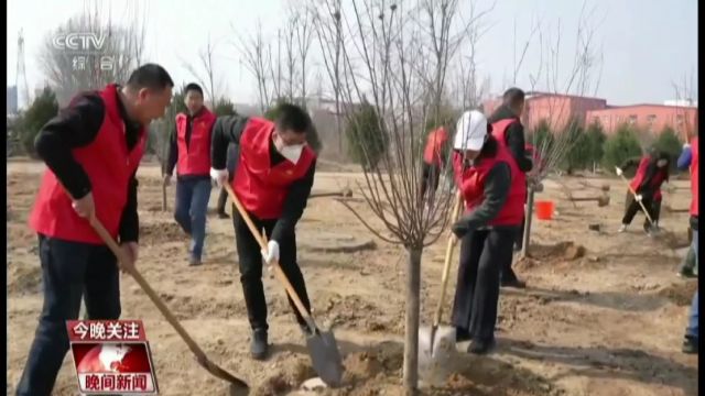 郑州:在城市绿化中逐步淘汰易引过敏树种