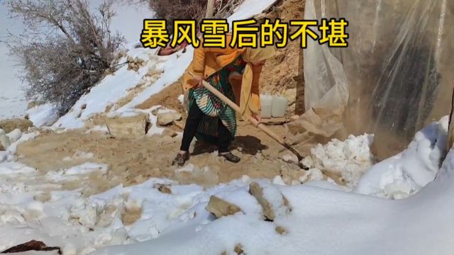 突如其来的暴雪,让家人多了一个病号!