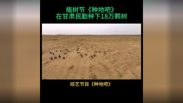 植树节《种地吧》在甘肃民勤种下18万颗树