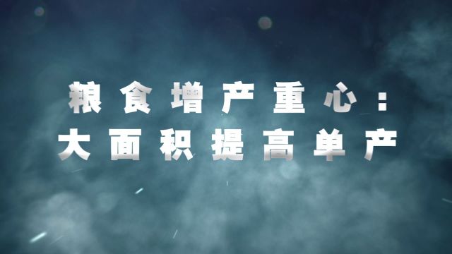 2024年中央一号文件精神解读:确保国家粮食安全