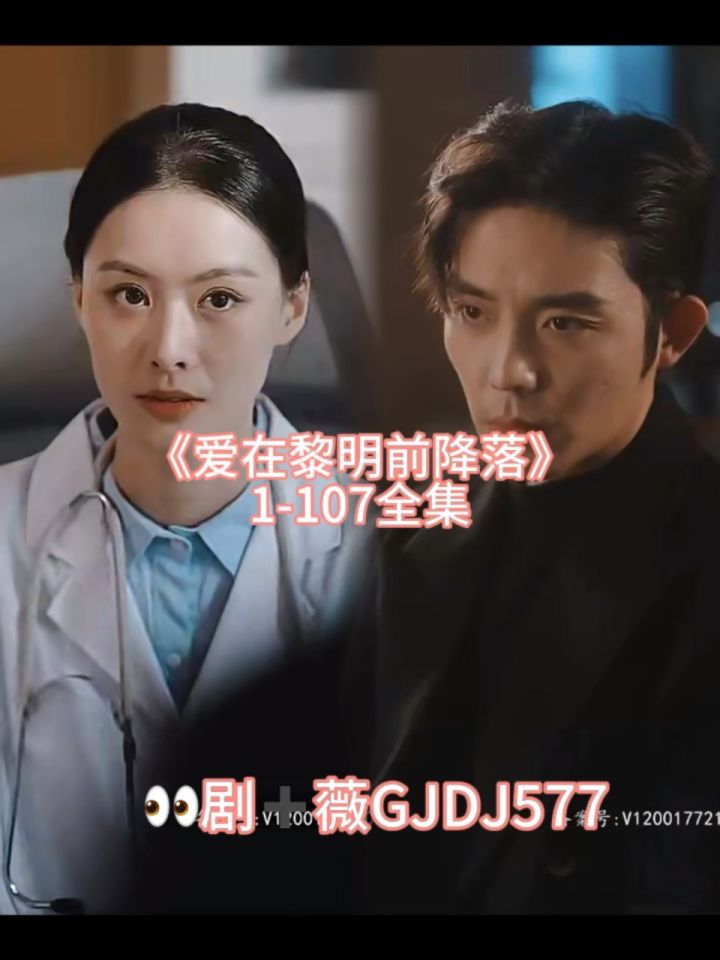 《爱在黎明前升起》降落大结局小说叫什么