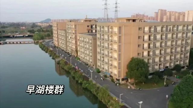 浙江工业大学之江学院:专升本15个专业1160个招生计划,新增广告学、电气工程与智能控制专业