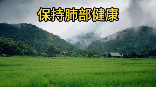 “呼吸健康从这里开始:中医帮助肺部健康”