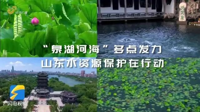 中国水周 | “泉湖河海”多点发力 山东水资源保护利用在行动