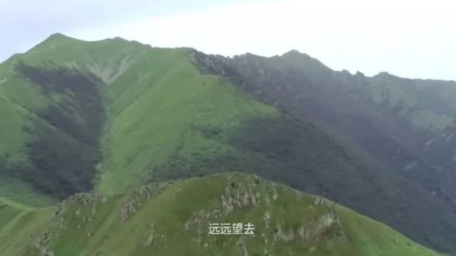 美丽中国|中华名山系列纪录片《河北蔚县小五台山》禀赋碧域,魄立苍穹