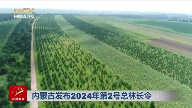 内蒙古发布2024年第2号总林长令 | 全力打好“三北”工程攻坚战和三大标志性战役,加快推进防沙治沙和风电光伏一体化工程